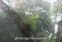 Maharashtra Rain Weather Updates: बंगालच्या उपसागरात चक्रीवादळाची स्थिती; महाराष्ट्रात २७ ते २९ ऑक्टोबरदरम्यान पावसाचा इशारा