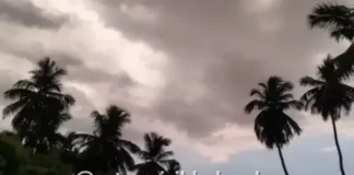 Maharashtra Weather Update: ऑक्टोबर हिटचा तडाखा वाढणार; काही जिल्ह्यांत कोरडे हवामान तर काही भागांत पावसाचा इशारा