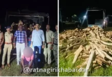 Mandangad Khair Wood Seizure News: मंडणगडात वनविभागाची धडक कारवाई; बेकायदेशीर खैराच्या लाकडासह वाहन जप्त Mandangad Khair Wood Seizure News: मंडणगडात वनविभागाची धडक कारवाई; बेकायदेशीर खैराच्या लाकडासह वाहन जप्त