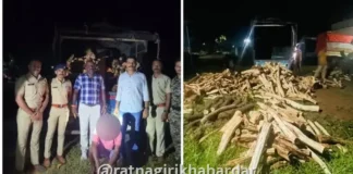Mandangad Khair Wood Seizure News: मंडणगडात वनविभागाची धडक कारवाई; बेकायदेशीर खैराच्या लाकडासह वाहन जप्त