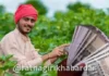 PM Kisan 24th installment: पीएम किसानचा २४ वा हप्ता शेतकर्यांच्या खात्यात जमा; महाराष्ट्रातील ९१ लाखांहून अधिक शेतकर्यांना लाभ PM Kisan 24th installment: पीएम किसानचा २४ वा हप्ता शेतकर्यांच्या खात्यात जमा; महाराष्ट्रातील ९१ लाखांहून अधिक शेतकर्यांना लाभ