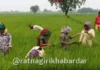 Punyashlok Ahilyadevi Holkar Shetkari Karjmukti Yojana 2026: शेतकरी कर्जमुक्ती योजनेची तिसरी यादी जाहीर; ३.५१ लाख शेतकरी पात्र Punyashlok Ahilyadevi Holkar Shetkari Karjmukti Yojana 2026: शेतकरी कर्जमुक्ती योजनेची तिसरी यादी जाहीर; ३.५१ लाख शेतकरी पात्र