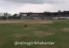 Ratnagiri Cricket Ground: तब्बल ७ वर्षांच्या प्रतीक्षेनंतर छत्रपती शिवाजी महाराज क्रीडांगण सज्ज; राज्यस्तरीय क्रिकेट स्पर्धेने होणार श्रीगणेशा