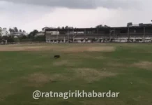 Ratnagiri Cricket Ground: तब्बल ७ वर्षांच्या प्रतीक्षेनंतर छत्रपती शिवाजी महाराज क्रीडांगण सज्ज; राज्यस्तरीय क्रिकेट स्पर्धेने होणार श्रीगणेशा Ratnagiri Cricket Ground: तब्बल ७ वर्षांच्या प्रतीक्षेनंतर छत्रपती शिवाजी महाराज क्रीडांगण सज्ज; राज्यस्तरीय क्रिकेट स्पर्धेने होणार श्रीगणेशा