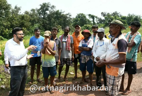 Ratnagiri Crop Damage: रत्नागिरीत पावसाच्या ओढीने भातशेती करपली; जिल्हाधिकारी मनुज जिंदल यांच्याकडून थेट शेतावर जाऊन पाहणी Ratnagiri Crop Damage: रत्नागिरीत पावसाच्या ओढीने भातशेती करपली; जिल्हाधिकारी मनुज जिंदल यांच्याकडून थेट शेतावर जाऊन पाहणी