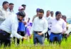 Ratnagiri Crop Loss Damage Assessment Report: रत्नागिरी जिल्ह्यात १३ हजार हेक्टरवरील पंचनामे पूर्ण