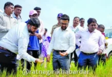 Ratnagiri Crop Loss Damage Assessment Report: रत्नागिरी जिल्ह्यात १३ हजार हेक्टरवरील पंचनामे पूर्ण