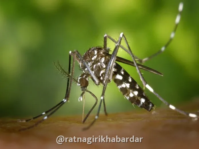 Ratnagiri Dengue Malaria Cases: रत्नागिरी साथीच्या आजारांत वाढ; जिल्ह्यात डेंग्यूचे ६९, तर मलेरियाचे १९८ रुग्ण; आरोग्य यंत्रणा सतर्क