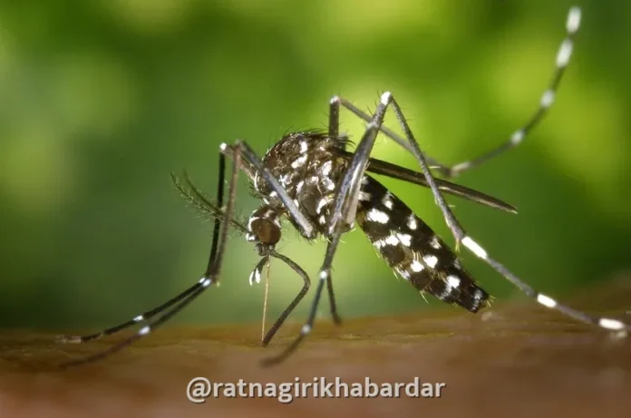 Ratnagiri Dengue Outbreak: रत्नागिरी जिल्ह्यात डेंग्यू आणि मलेरियाचा धुमाकूळ; १० महिन्यांत ९२ रुग्ण; एकट्या रत्नागिरी शहरात ५२ बाधित Ratnagiri Dengue Outbreak: रत्नागिरी जिल्ह्यात डेंग्यू आणि मलेरियाचा धुमाकूळ; १० महिन्यांत ९२ रुग्ण; एकट्या रत्नागिरी शहरात ५२ बाधित