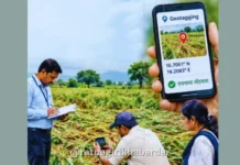 Ratnagiri Drought Crop Losses: रत्नागिरीत ५ हजार हेक्टरवरील पिकांचे पंचनामे पूर्ण; १८ हजार शेतकऱ्यांना मदतीची प्रतीक्षा Ratnagiri Drought Crop Losses: रत्नागिरीत ५ हजार हेक्टरवरील पिकांचे पंचनामे पूर्ण; १८ हजार शेतकऱ्यांना मदतीची प्रतीक्षा