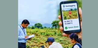 Ratnagiri Drought Crop Losses: रत्नागिरीत ५ हजार हेक्टरवरील पिकांचे पंचनामे पूर्ण; १८ हजार शेतकऱ्यांना मदतीची प्रतीक्षा