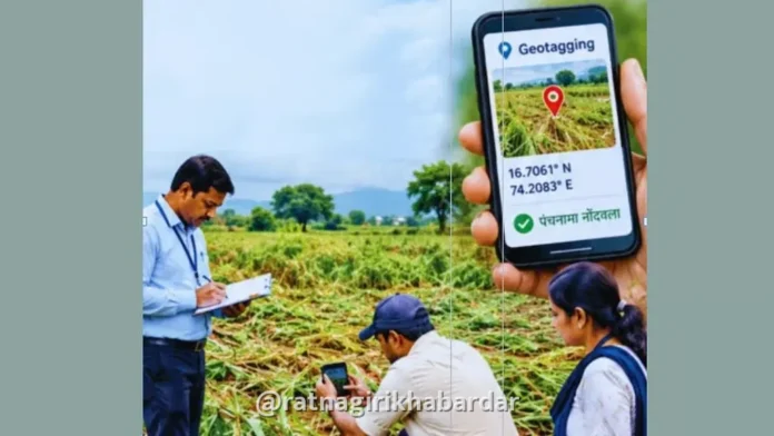 Ratnagiri Drought Crop Losses: रत्नागिरीत ५ हजार हेक्टरवरील पिकांचे पंचनामे पूर्ण; १८ हजार शेतकऱ्यांना मदतीची प्रतीक्षा
