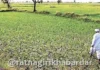 Ratnagiri Drought Declared: रत्नागिरी जिल्ह्यातील लांजा, मंडणगड आणि खेड तालुके दुष्काळग्रस्त घोषित; बाधित तालुक्यांची संख्या ६ वर Ratnagiri Drought Declared: रत्नागिरी जिल्ह्यातील लांजा, मंडणगड आणि खेड तालुके दुष्काळग्रस्त घोषित; बाधित तालुक्यांची संख्या ६ वर
