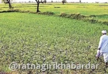 Ratnagiri Drought Declared: रत्नागिरी जिल्ह्यातील लांजा, मंडणगड आणि खेड तालुके दुष्काळग्रस्त घोषित; बाधित तालुक्यांची संख्या ६ वर Ratnagiri Drought Declared: रत्नागिरी जिल्ह्यातील लांजा, मंडणगड आणि खेड तालुके दुष्काळग्रस्त घोषित; बाधित तालुक्यांची संख्या ६ वर