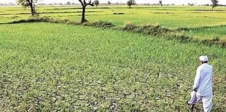 Ratnagiri Drought Declared: रत्नागिरी जिल्ह्यातील लांजा, मंडणगड आणि खेड तालुके दुष्काळग्रस्त घोषित; बाधित तालुक्यांची संख्या ६ वर