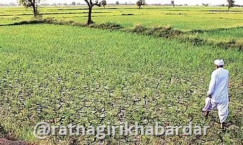 Ratnagiri Drought Declared: रत्नागिरी जिल्ह्यातील लांजा, मंडणगड आणि खेड तालुके दुष्काळग्रस्त घोषित; बाधित तालुक्यांची संख्या ६ वर Ratnagiri Drought Declared: रत्नागिरी जिल्ह्यातील लांजा, मंडणगड आणि खेड तालुके दुष्काळग्रस्त घोषित; बाधित तालुक्यांची संख्या ६ वर