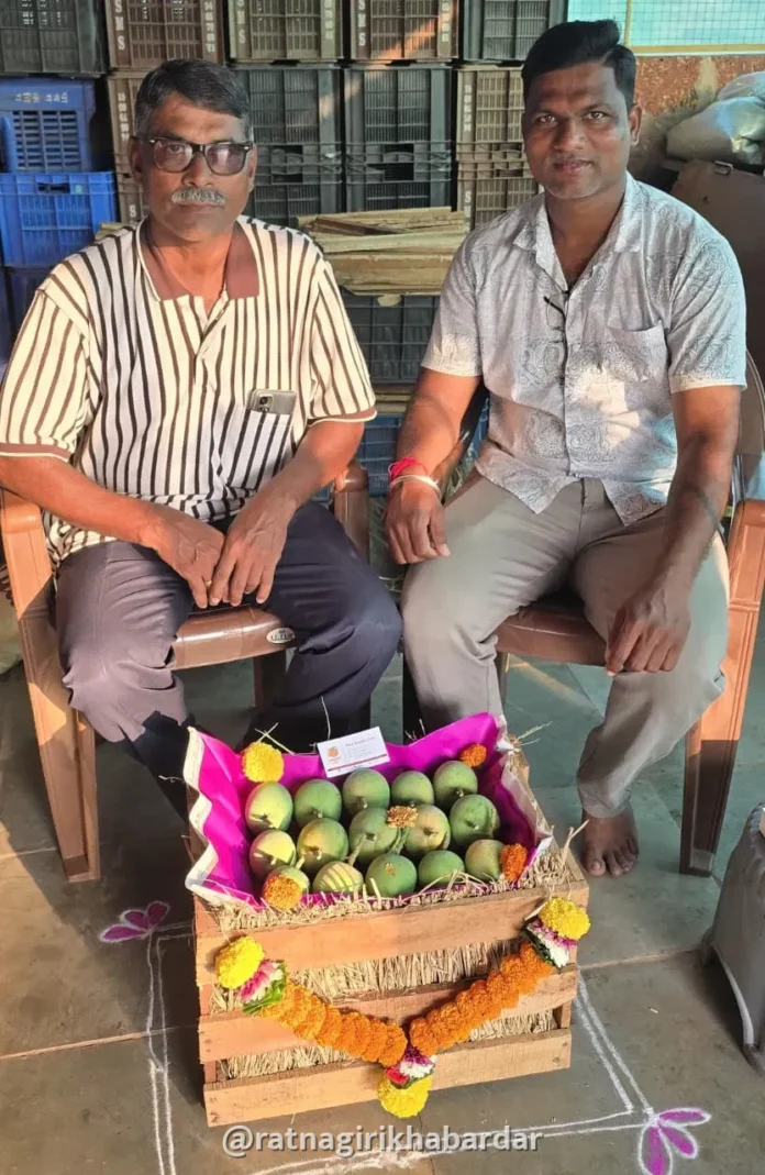 Ratnagiri Early Mango Market Arrival: रत्नागिरी बाजारपेठेत तब्बल चार महिने अगोदर आंब्याची आवक! गावखडीतील ४ डझनच्या पेटीला मिळाला २१ हजारांचा दर