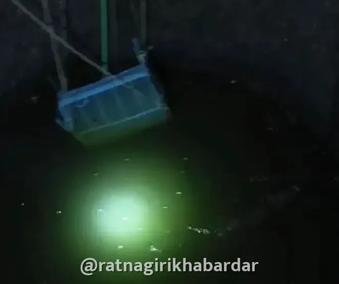 Ratnagiri Kurdhe Mervi Wild Boar Rescue: विहिरीत पडलेल्या रानडुकराला वनविभागाने दिले जीवनदान; पिंजरा सोडून केली सुखरूप सुटका Ratnagiri Kurdhe Mervi Wild Boar Rescue: विहिरीत पडलेल्या रानडुकराला वनविभागाने दिले जीवनदान; पिंजरा सोडून केली सुखरूप सुटका