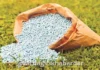 Ratnagiri QR Code Fertilizer Scheme Failure: राज्य शासनाच्या क्यूआर कोड आधारित खत विक्री योजनेत रत्नागिरीची कामगिरी निराशाजनक; ५ महिन्यांत अवघी २४ टक्के विक्री