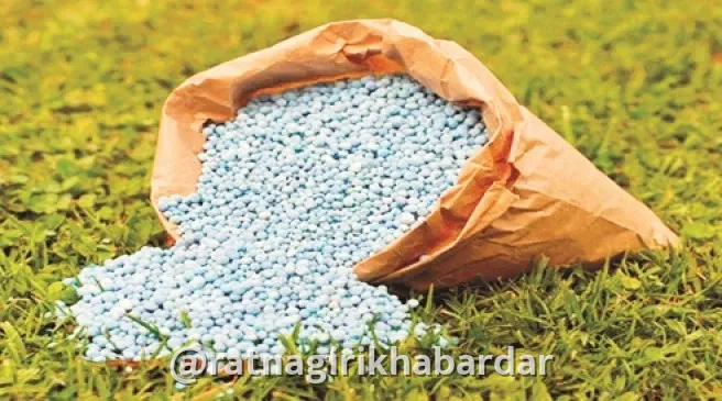 Ratnagiri QR Code Fertilizer Scheme Failure: राज्य शासनाच्या क्यूआर कोड आधारित खत विक्री योजनेत रत्नागिरीची कामगिरी निराशाजनक; ५ महिन्यांत अवघी २४ टक्के विक्री Ratnagiri QR Code Fertilizer Scheme Failure: राज्य शासनाच्या क्यूआर कोड आधारित खत विक्री योजनेत रत्नागिरीची कामगिरी निराशाजनक; ५ महिन्यांत अवघी २४ टक्के विक्री