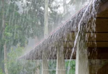 Ratnagiri Rain Update: रत्नागिरी जिल्ह्यात दुसऱ्या दिवशीही मेघगर्जनेसह पाऊस; कापणी केलेल्या भातपिकाचे मोठे नुकसान