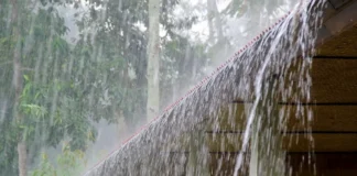 Ratnagiri Rain Update: रत्नागिरी जिल्ह्यात दुसऱ्या दिवशीही मेघगर्जनेसह पाऊस; कापणी केलेल्या भातपिकाचे मोठे नुकसान