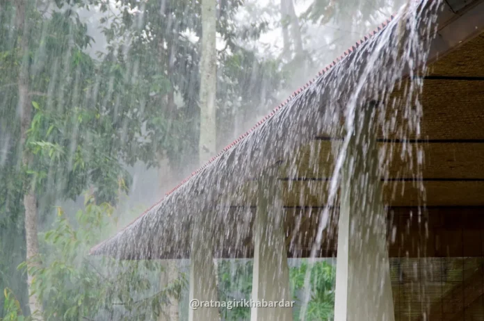Ratnagiri Rain Update: रत्नागिरी जिल्ह्यात दुसऱ्या दिवशीही मेघगर्जनेसह पाऊस; कापणी केलेल्या भातपिकाचे मोठे नुकसान Ratnagiri Rain Update: रत्नागिरी जिल्ह्यात दुसऱ्या दिवशीही मेघगर्जनेसह पाऊस; कापणी केलेल्या भातपिकाचे मोठे नुकसान