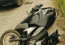 Ratnagiri Sangameshwar Tural Bike Accident: तुरळ येथे दुचाकीचा भीषण अपघात; पाचल येथील तरुणाचा जागीच मृत्यू Ratnagiri Sangameshwar Tural Bike Accident: तुरळ येथे दुचाकीचा भीषण अपघात; पाचल येथील तरुणाचा जागीच मृत्यू