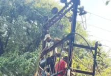 Sakharpa Low Voltage Problem: साखरप्यात विजेच्या कमी दाबाची समस्या मार्गी; ६३ KVA ऐवजी १०० KVA चा नवीन ट्रान्सफॉर्मर बसवला Sakharpa Low Voltage Problem: साखरप्यात विजेच्या कमी दाबाची समस्या मार्गी; ६३ KVA ऐवजी १०० KVA चा नवीन ट्रान्सफॉर्मर बसवला