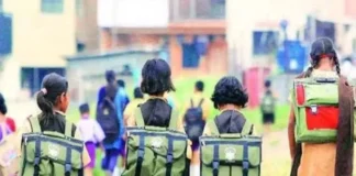 School Admission Age Limit Maharashtra: पूर्व-प्राथमिक व पहिलीच्या शाळा प्रवेशासाठी किमान वय निश्चित; २०२७-२८ पासून टप्प्याटप्प्याने लागू होणार नवीन निकष
