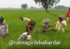 Shetkari Karjmukti Yojana Third List: पुण्यश्लोक अहिल्यादेवी होळकर शेतकरी कर्जमुक्ती योजनेची ३.५१ लाख लाभार्थ्यांची तिसरी यादी जाहीर