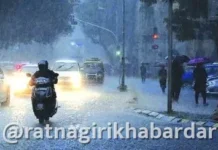 Maharashtra Weather Forecast: अरबी समुद्रात कमी दाबाचा पट्टा; २७ ते २९ ऑक्टोबरदरम्यान महाराष्ट्रात पावसाचा इशारा Sindhudurg Rain News: अरबी समुद्रात कमी दाबाचा पट्टा; २७ ते २९ ऑक्टोबरदरम्यान महाराष्ट्रात पावसाचा इशारा